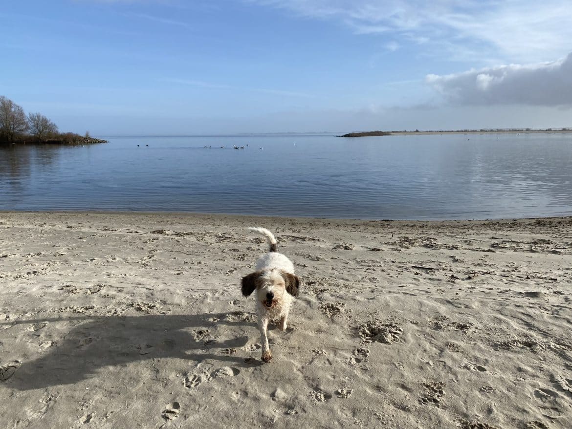 mijn week - week 5 Janssen strand Medemblik