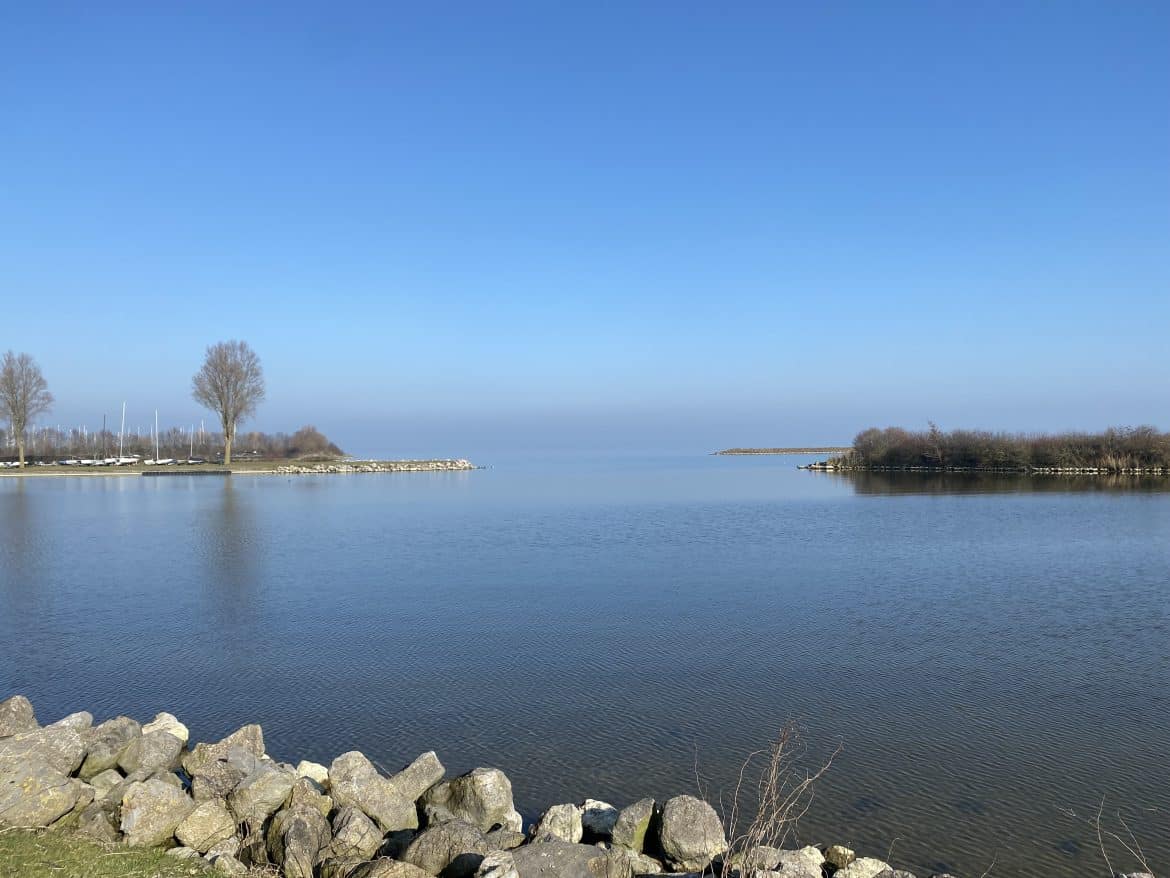 mijn week 7 - Vooroever