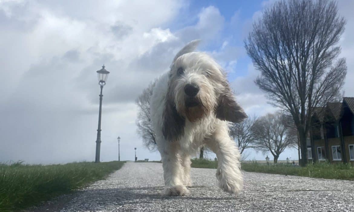 Week 13 weekoverzicht Week 13 weekoverzicht