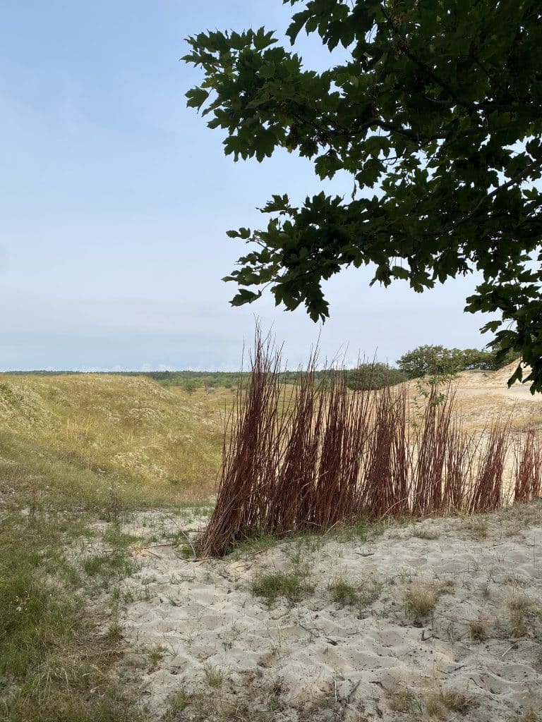 vakantie - maandoverzicht augustus 2024