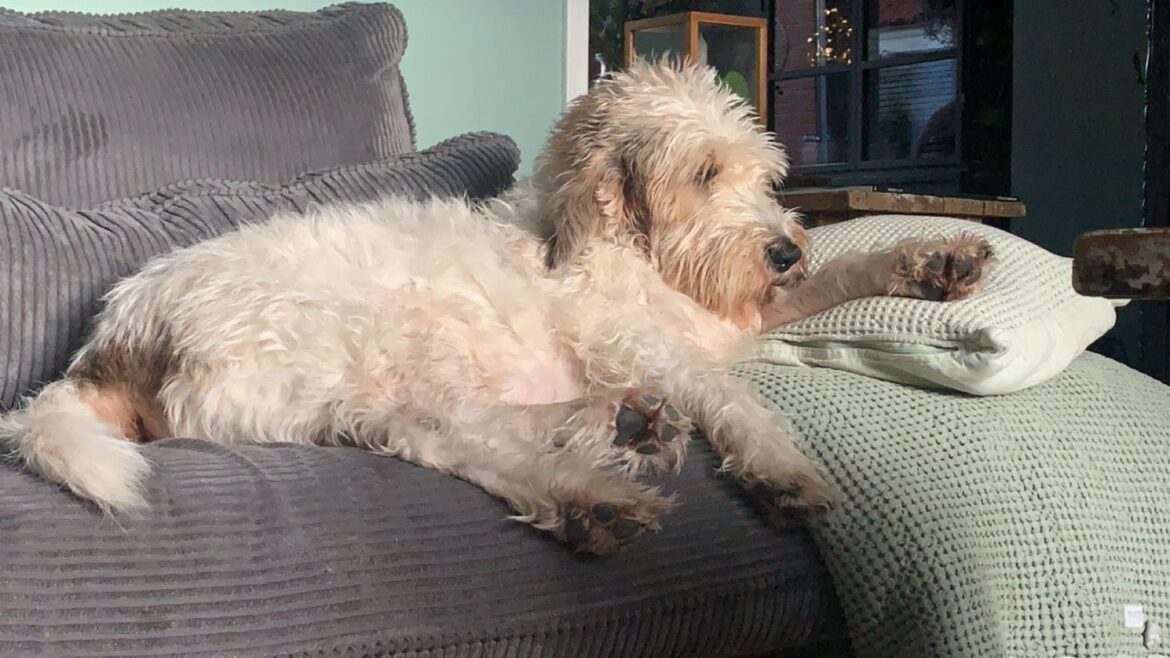 De muis, de bank, de hulp en mijn grenzen